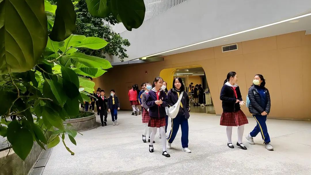 藝文雙修｜大灣區交流計劃：香港與深圳學生的心靈之旅